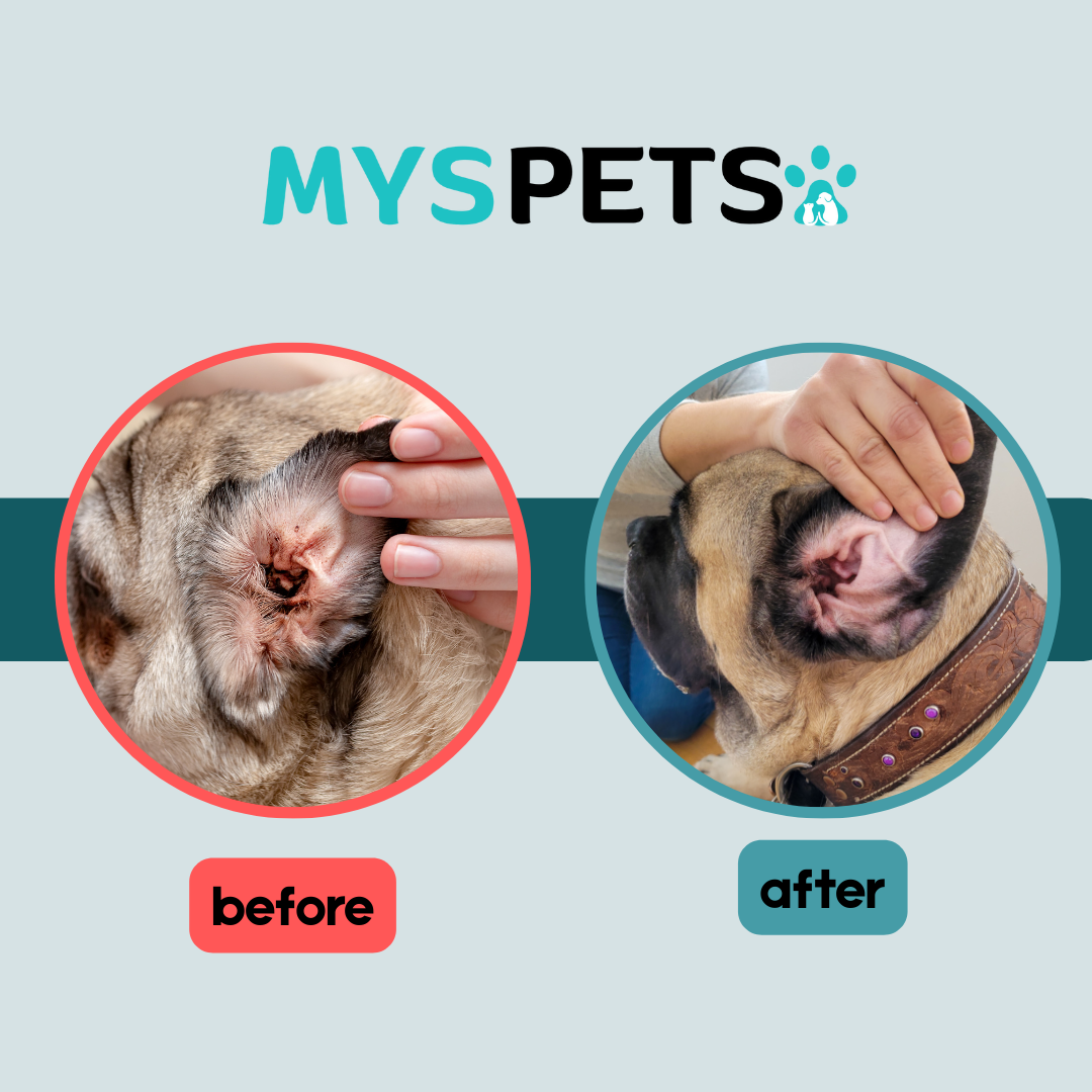 MysPets™ Limpieza Segura para Oídos de Mascotas